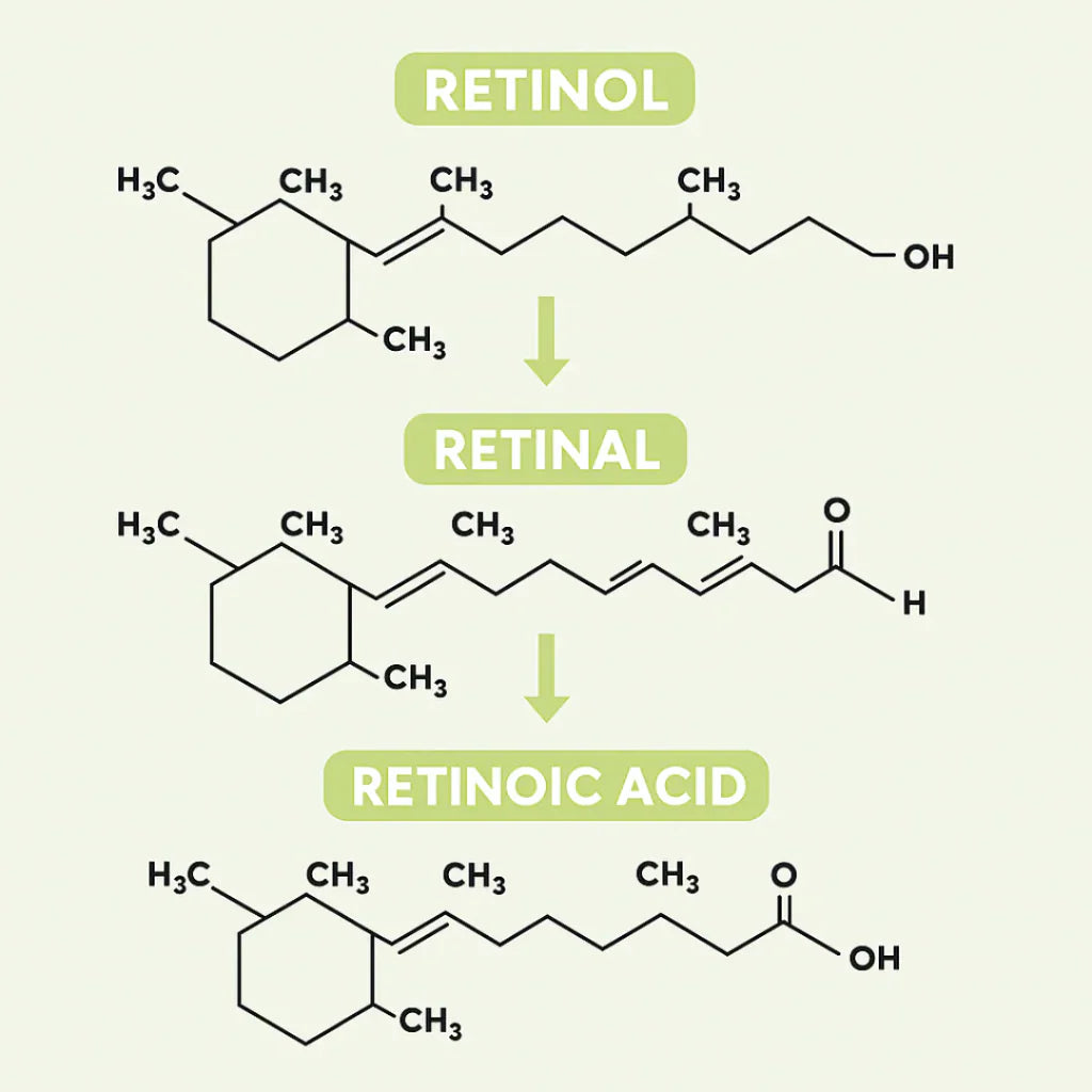 Retinal Balance Collageen Lift Serum