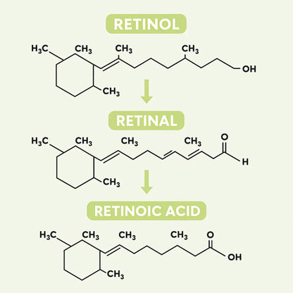 Retinal Balance Collageen Lift Serum